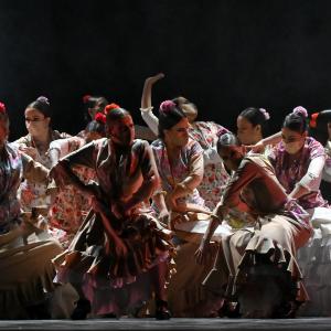 Fotografía de Talleres Coreográficos, Baile Flamenco - Conservatorio de Danza
