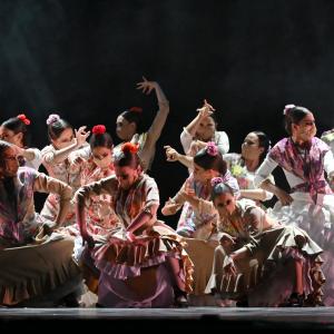 Fotografía de Talleres Coreográficos, Baile Flamenco - Conservatorio de Danza