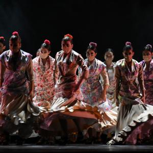 Fotografía de Talleres Coreográficos, Baile Flamenco - Conservatorio de Danza