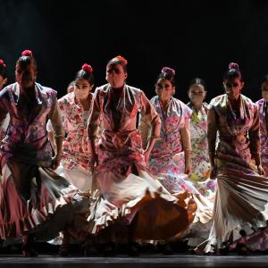 Fotografía de Talleres Coreográficos, Baile Flamenco - Conservatorio de Danza