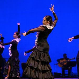 Fotografía de Talleres Coreográficos, Baile Flamenco - Conservatorio de Danza