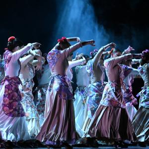 Fotografía de Talleres Coreográficos, Baile Flamenco - Conservatorio de Danza