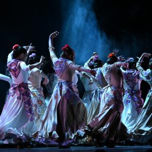 Fotografía de Talleres Coreográficos, Baile Flamenco - Conservatorio de Danza