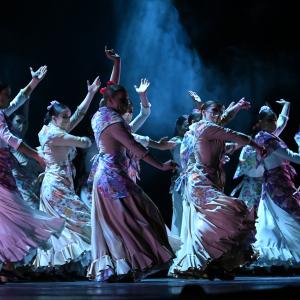 Fotografía de Talleres Coreográficos, Baile Flamenco - Conservatorio de Danza