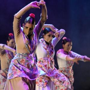 Fotografía de Talleres Coreográficos, Baile Flamenco - Conservatorio de Danza