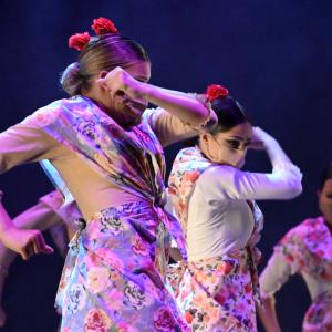 Fotografía de Talleres Coreográficos, Baile Flamenco - Conservatorio de Danza