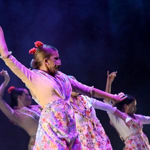 Fotografía de Talleres Coreográficos, Baile Flamenco - Conservatorio de Danza