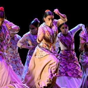 Fotografía de Talleres Coreográficos, Baile Flamenco - Conservatorio de Danza