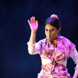 Fotografía de Talleres Coreográficos, Baile Flamenco - Conservatorio de Danza