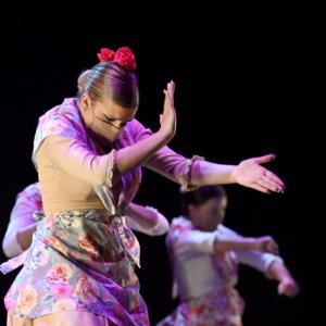 Fotografía de Talleres Coreográficos, Baile Flamenco - Conservatorio de Danza