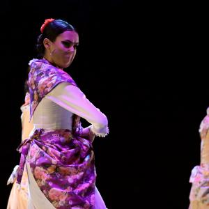 Fotografía de Talleres Coreográficos, Baile Flamenco - Conservatorio de Danza