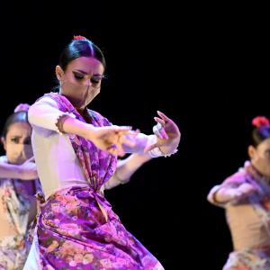 Fotografía de Talleres Coreográficos, Baile Flamenco - Conservatorio de Danza