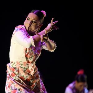 Fotografía de Talleres Coreográficos, Baile Flamenco - Conservatorio de Danza
