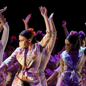 Fotografía de Talleres Coreográficos, Baile Flamenco - Conservatorio de Danza