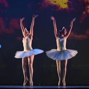 Fotografía de Talleres Coreográficos, Danza clásica - Conservatorio de Danza