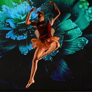 Fotografía de Talleres Coreográficos, Danza clásica - Conservatorio de Danza