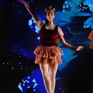 Fotografía de Talleres Coreográficos, Danza clásica - Conservatorio de Danza