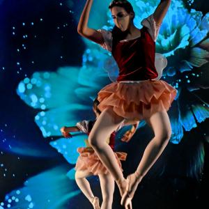 Fotografía de Talleres Coreográficos, Danza clásica - Conservatorio de Danza