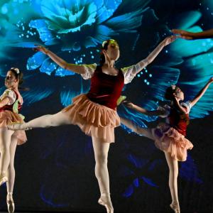 Fotografía de Talleres Coreográficos, Danza clásica - Conservatorio de Danza