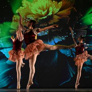 Fotografía de Talleres Coreográficos, Danza clásica - Conservatorio de Danza