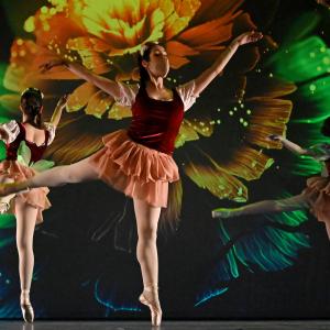 Fotografía de Talleres Coreográficos, Danza clásica - Conservatorio de Danza