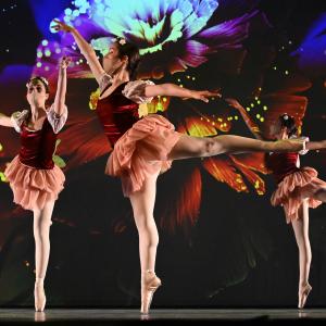 Fotografía de Talleres Coreográficos, Danza clásica - Conservatorio de Danza