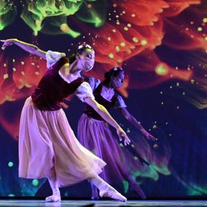 Fotografía de Talleres Coreográficos, Danza clásica - Conservatorio de Danza
