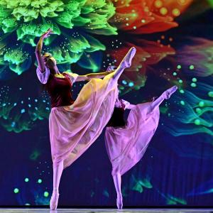Fotografía de Talleres Coreográficos, Danza clásica - Conservatorio de Danza