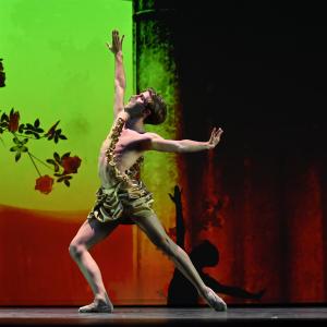 Fotografía de Talleres Coreográficos, Danza clásica - Conservatorio de Danza
