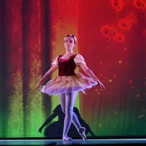 Fotografía de Talleres Coreográficos, Danza clásica - Conservatorio de Danza