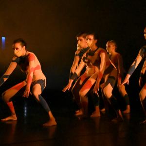 Fotografía de Odami (estreno) - Conservatorio de Danza