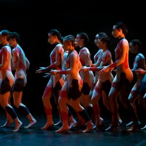 Fotografía de Odami (estreno) - Conservatorio de Danza