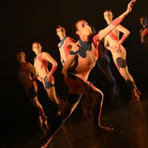 Fotografía de Odami - Conservatorio de Danza