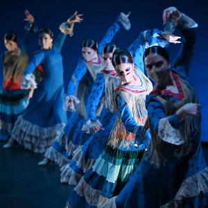 Fotografía de Por Bandera (estreno) - Conservatorio de Danza