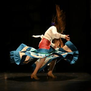 Fotografía de Por bandera - Conservatorio de Danza