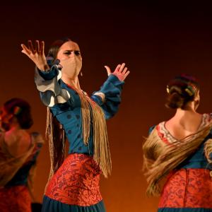 Fotografía de Por bandera - Conservatorio de Danza