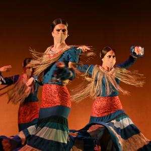 Fotografía de Por bandera - Conservatorio de Danza