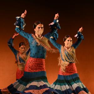 Fotografía de Por bandera - Conservatorio de Danza