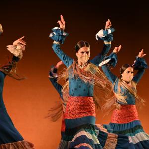 Fotografía de Por bandera - Conservatorio de Danza