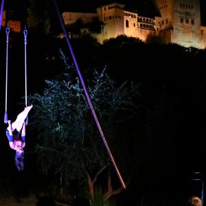 Fotografía de Festival CAU: Gala CAU - CAU