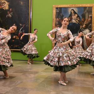 Fotografía de Así se hizo: Vídeo de fin de año (parte 1) - Conservatorio de Danza
