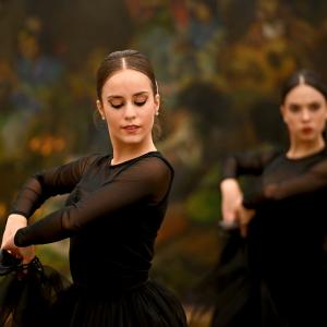 Fotografía de Así se hizo: Vídeo de fin de año (parte 1) - Conservatorio de Danza