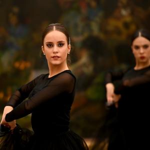 Fotografía de Así se hizo: Vídeo de fin de año (parte 1) - Conservatorio de Danza