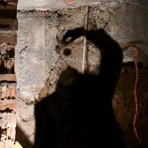 Fotografía de El renacer de la baldosa: Cadmio - Gato Gordo