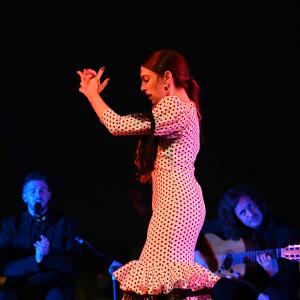 Fotografía de La canastera - Lucía Aguilar