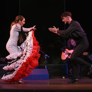Fotografía de La canastera - Lucía Aguilar