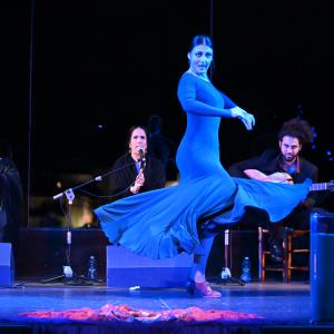 Fotografía de Granate y arena - Manuela la Isleña