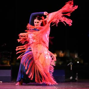 Fotografía de Granate y arena - Manuela la Isleña