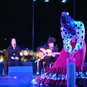 Fotografía de Granate y arena - Manuela la Isleña