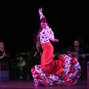 Fotografía de Granate y arena - Manuela la Isleña
